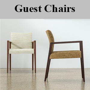 Guest Chairs Ocala Florida